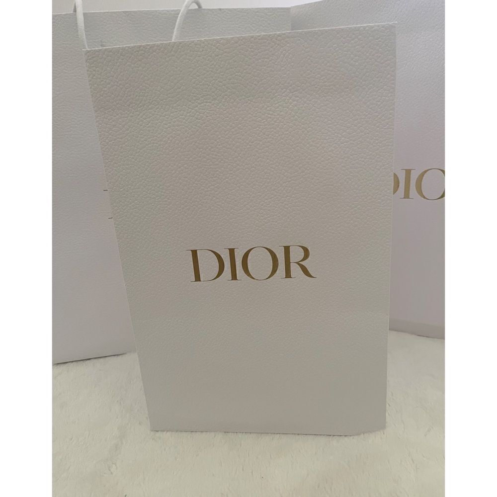 Dior shopping bag